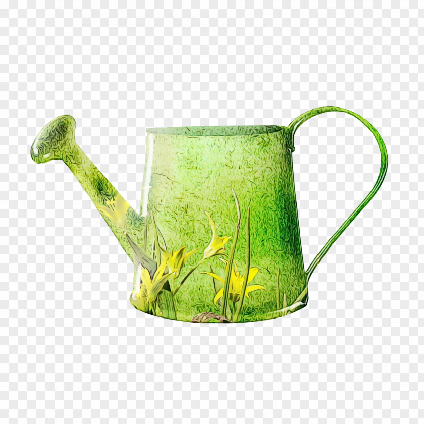 Tableware Drinkware Green Grass Background PNG