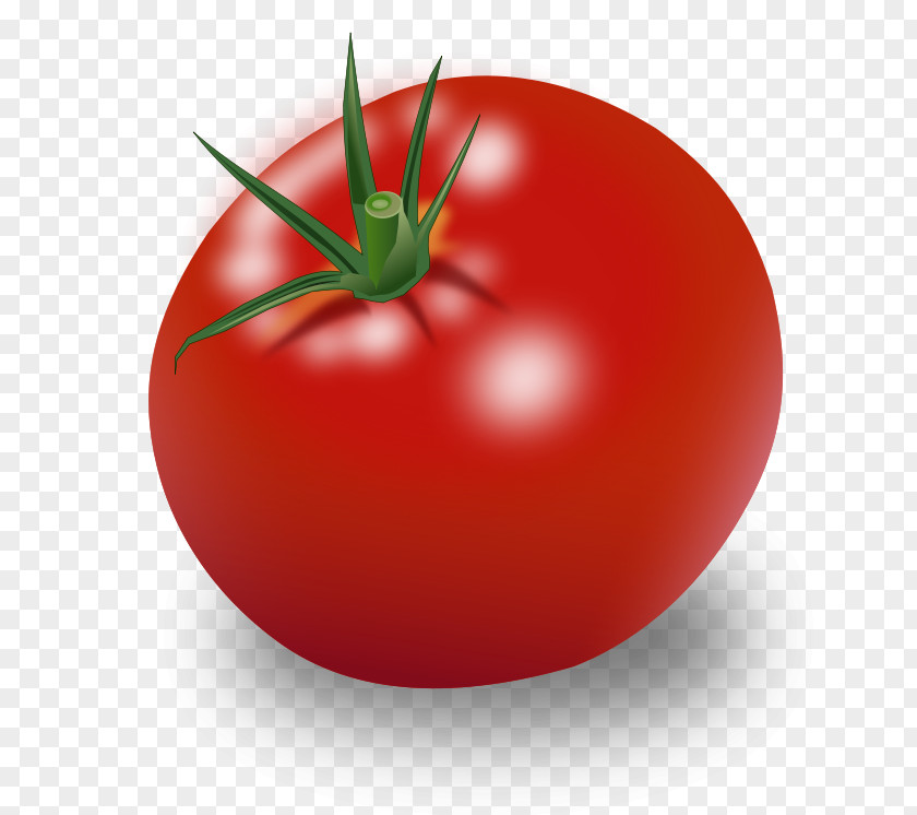 Tomato Cherry Fruit Ripening Vegetable Clip Art PNG