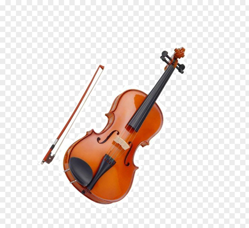 Trombone Violin Family Musical Instruments Cello Viola PNG