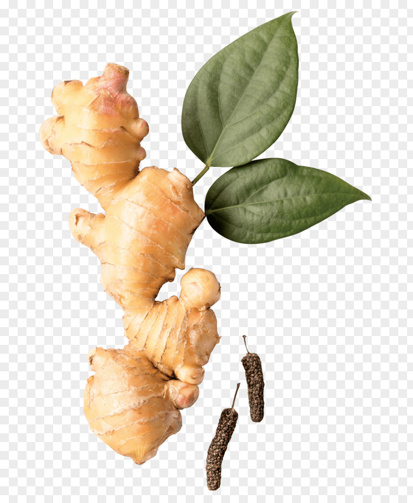 Zingiber Flag Himalaya Trikatu 60 Caps Herb Root Vegetables Dietary Supplement Ginger PNG