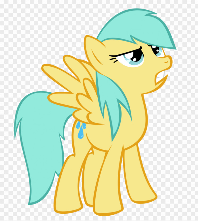 Cloudchaser Pony Rainbow Dash Character Equestria Daily PNG