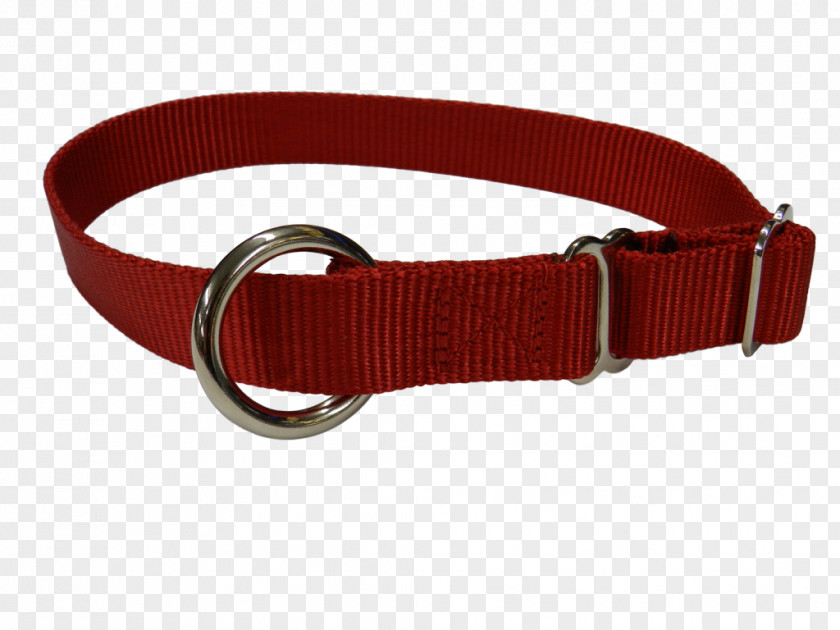 Collar Dog Sled Leash PNG