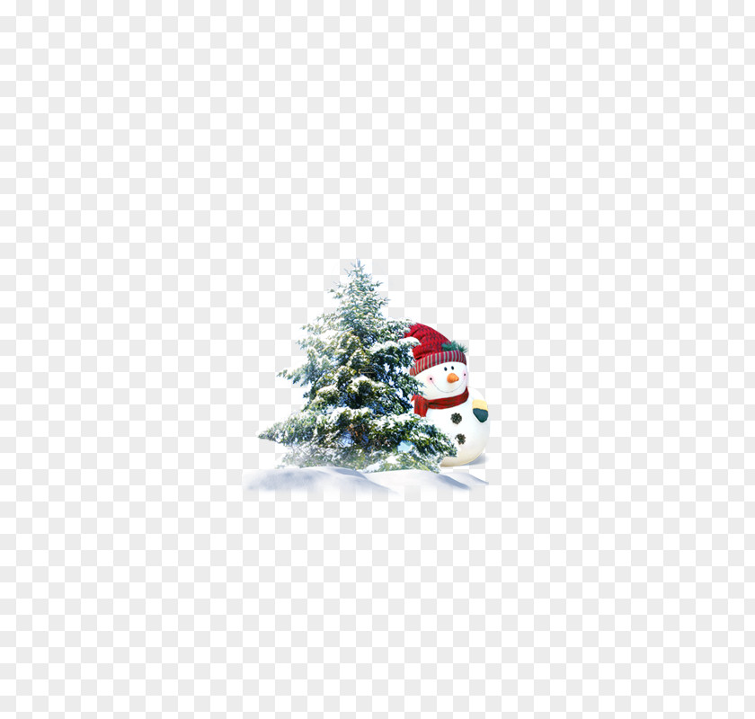 Creative Christmas Tree Dongzhi Pine PNG