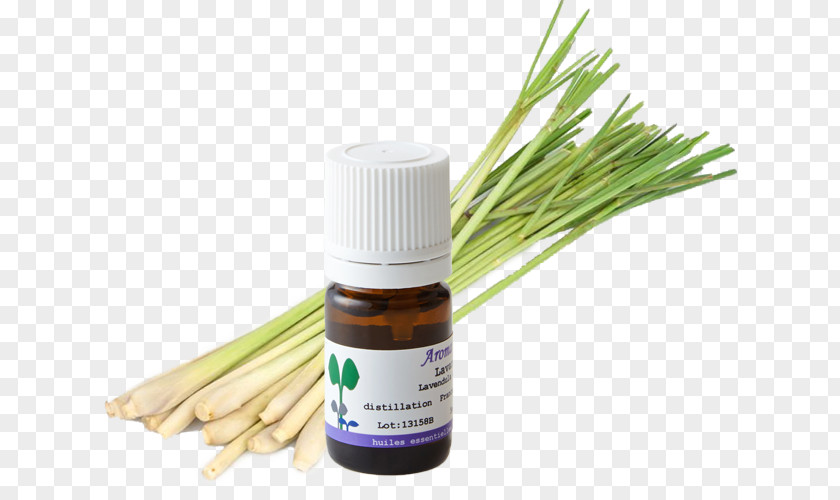 Herbalism Grasses Flavor PNG