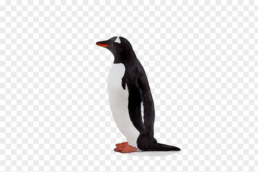 King Penguin Beak PNG