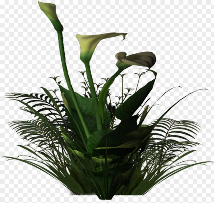 Leaf Floral Design Flowerpot Cut Flowers Plant Stem Houseplant PNG
