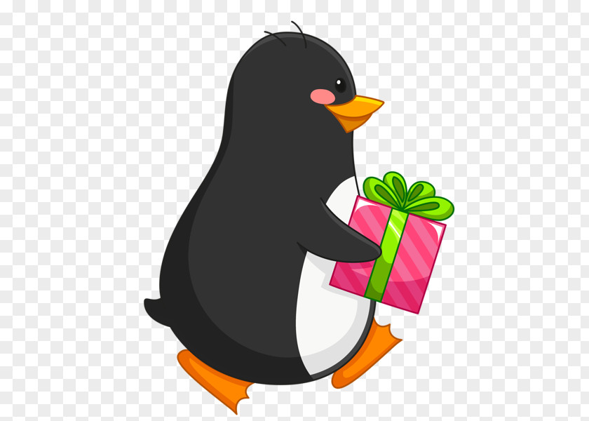 Penguin Christmas Bird Desktop Wallpaper Clip Art PNG