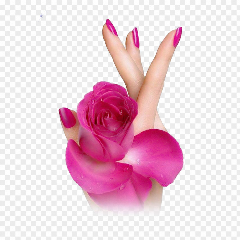 Cosmetics Upper Limb Nail Polish Flower PNG limb polish Flower, cosmetics, person holding pink rose clipart PNG