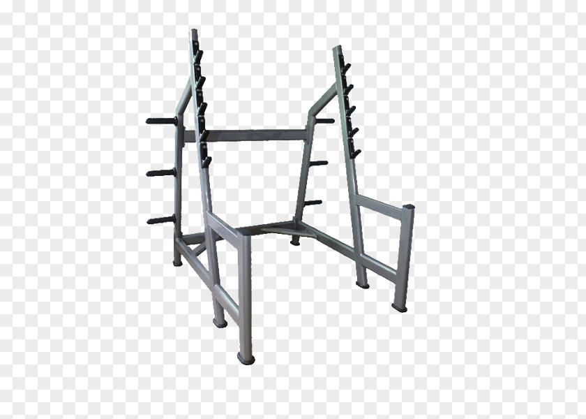 Gym Squats Squat Bodybuilding Weight Training Fitness Centre Power Rack PNG