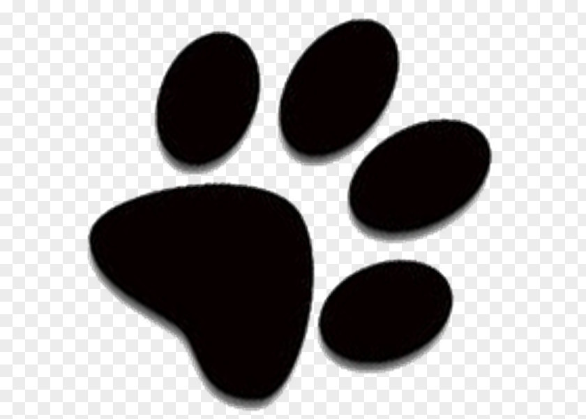 Husky Siberian Paw Puppy Clip Art PNG