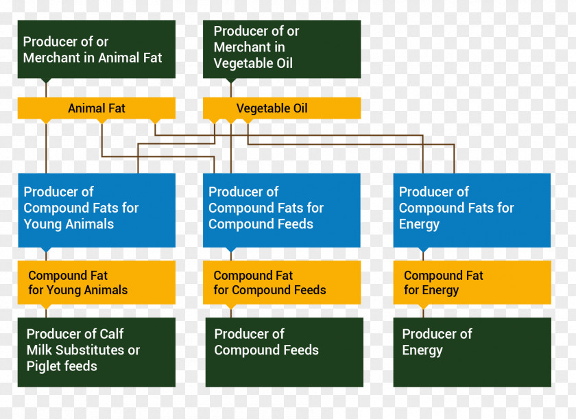 Oleochemical Flowchart Diagram Animal Fat Food PNG