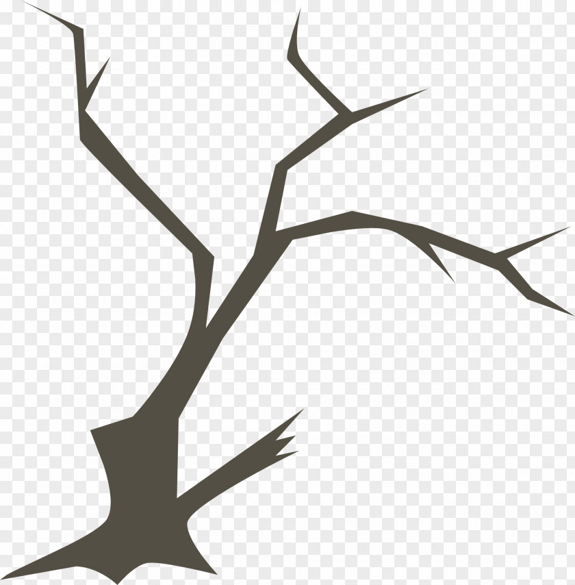 Rama Branch Tree Twig PNG