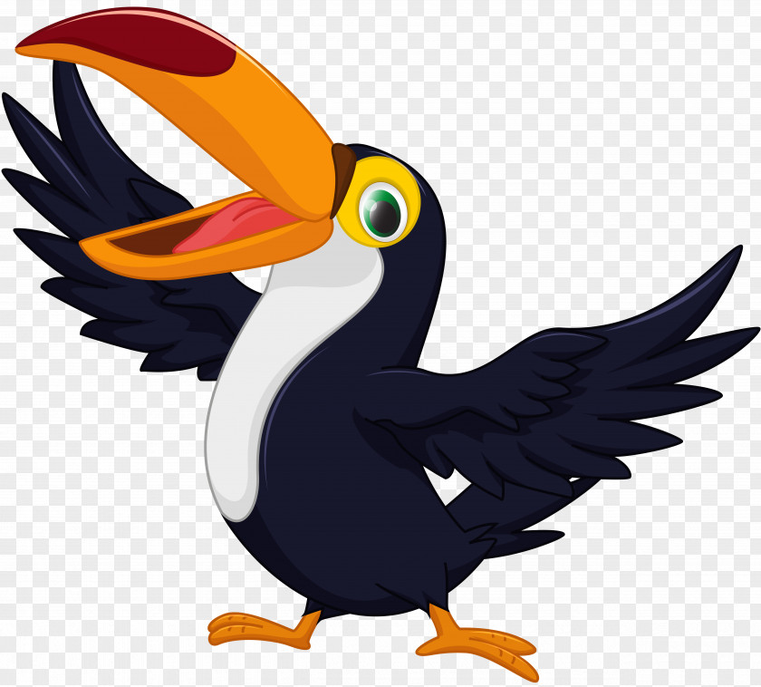 Baby Pigeon Toucan Vector Graphics Clip Art Image Drawing PNG