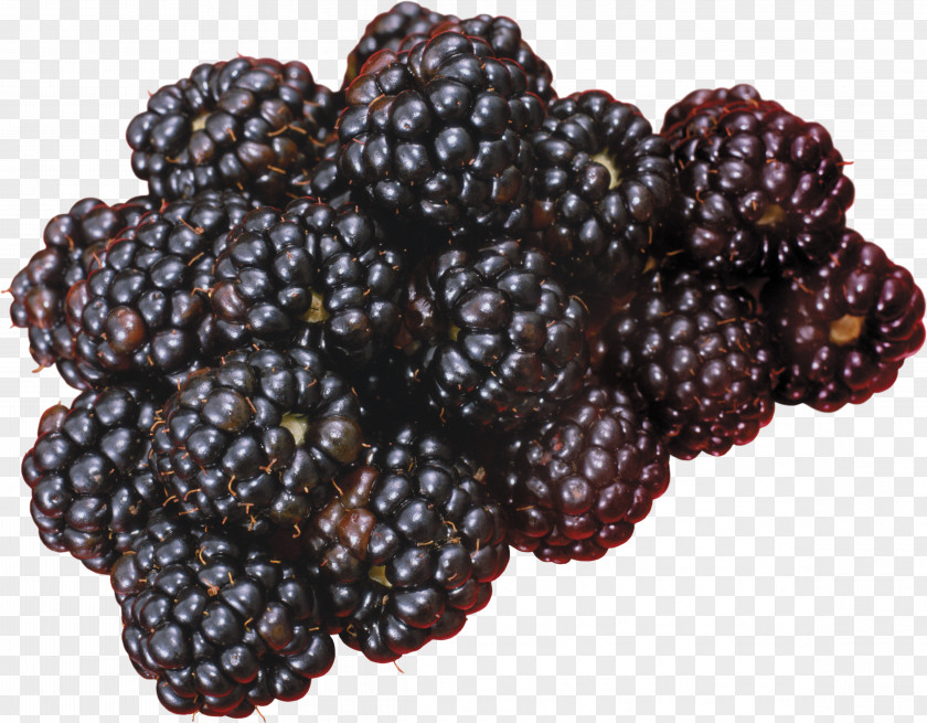 Blackberry Fruit Frutti Di Bosco PNG