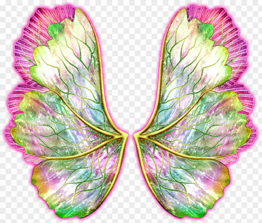 Butterfly Wallpaper Download Flora Bloom Musa Tecna Aisha PNG
