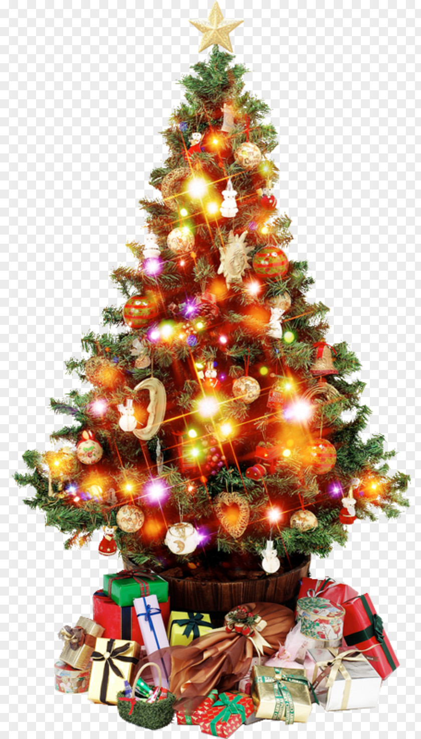 Christmas Tree Artificial Clip Art PNG