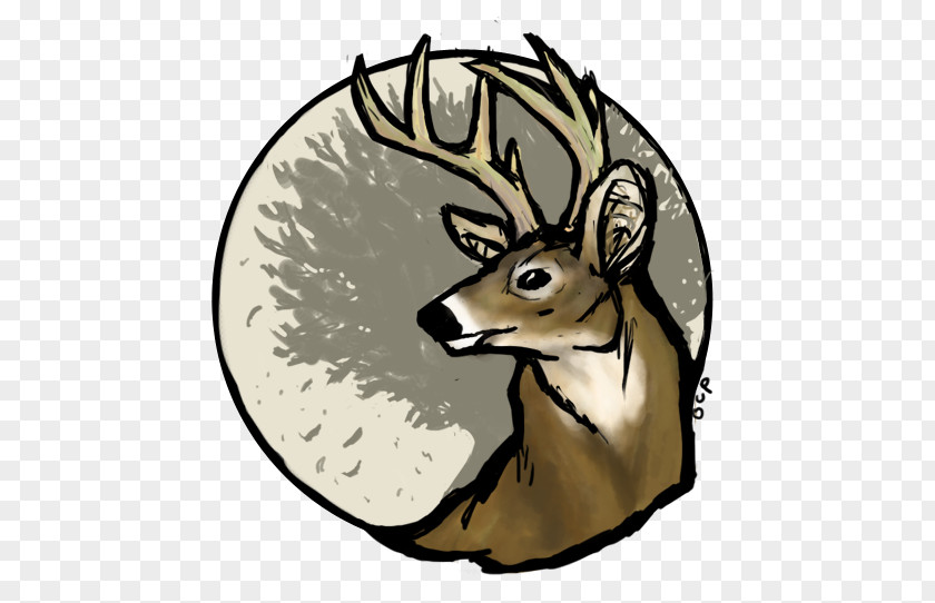 Deer Head White-tailed Reindeer Desktop Wallpaper PNG
