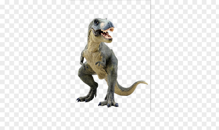 Dinosaur Tyrannosaurus Velociraptor Park Jurassic PNG