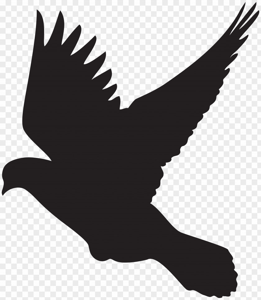 Flying Dove Silhouette Clip Art Columbidae Bird Flight PNG