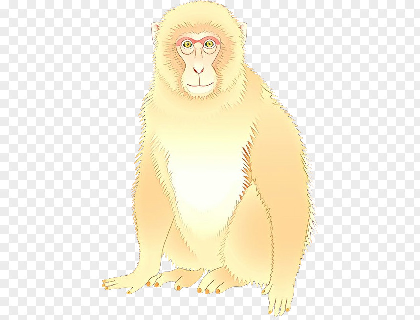 Lion Macaque Whiskers Bear Old World Monkeys PNG
