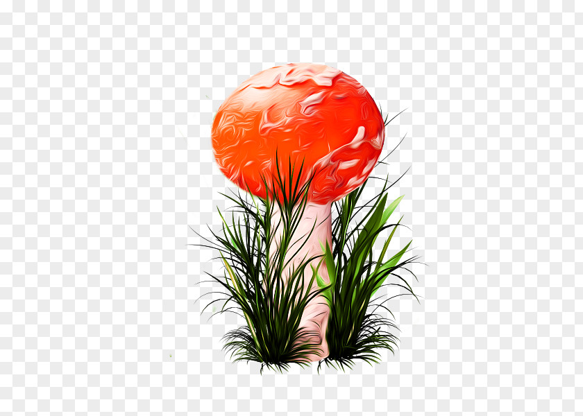 Mushroom ICO Icon PNG