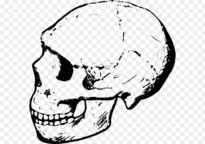 Skulls Cliparts Skull Black And White Clip Art PNG