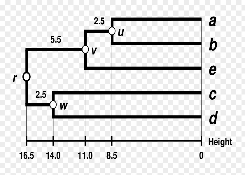 Dendrogram UPGMA Distance Matrix Maximum Parsimony Phylogenetics PNG