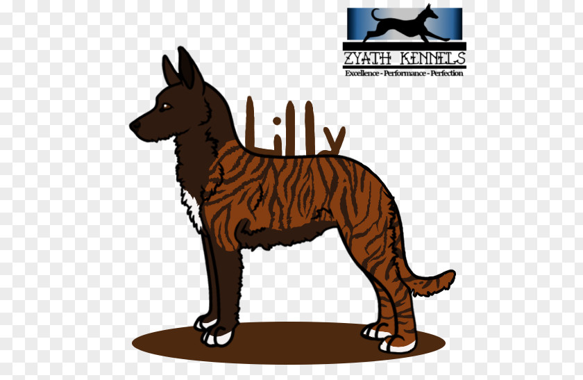 Dog Breed Cat Cartoon PNG