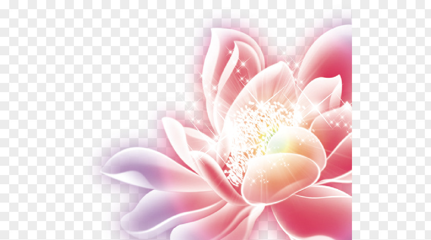 Flower PNG Flower,flower glare,flowers,starlight,mid-autumn festival poster clipart PNG