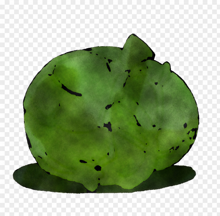 Fresh Vegetable PNG