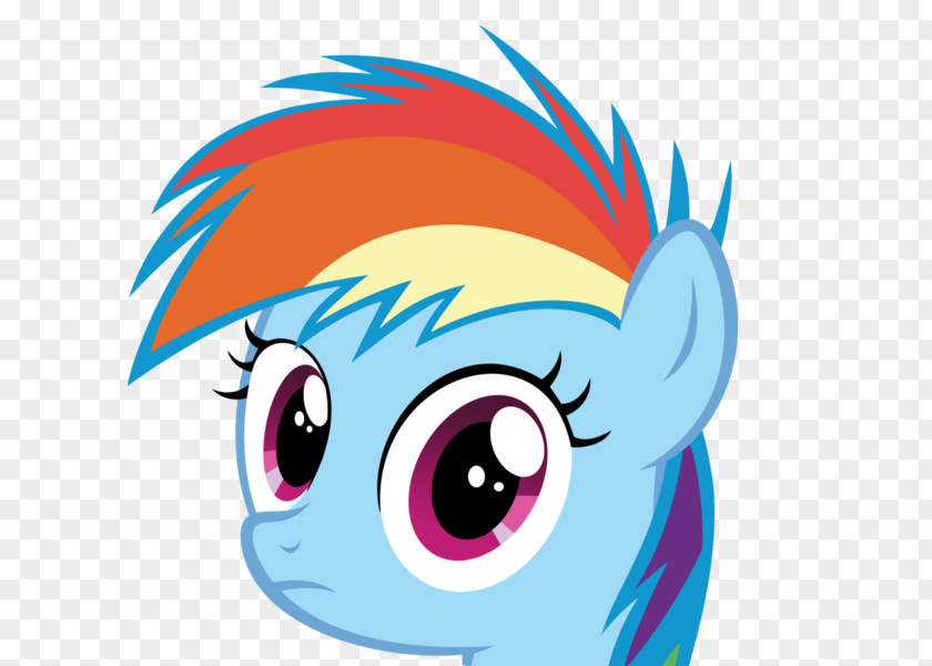 Horse Pony Rainbow Dash Sweetie Belle Rarity Apple Bloom PNG