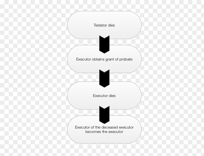 Probate Court Process Executor Estate Will And Testament Testator PNG