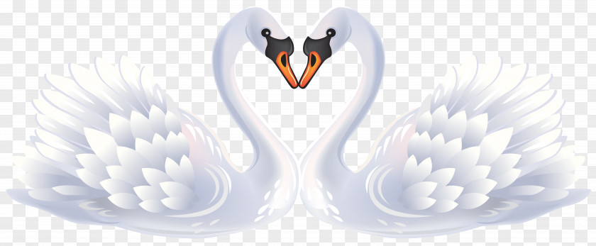 Valentine Swans Clipart Swan Love Clip Art PNG