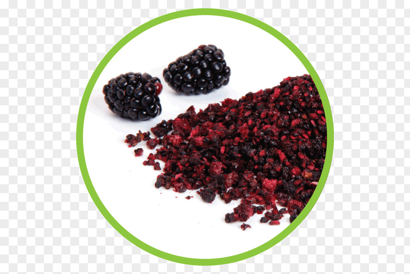 Blackberry Zante Currant Boysenberry Dried Fruit PNG