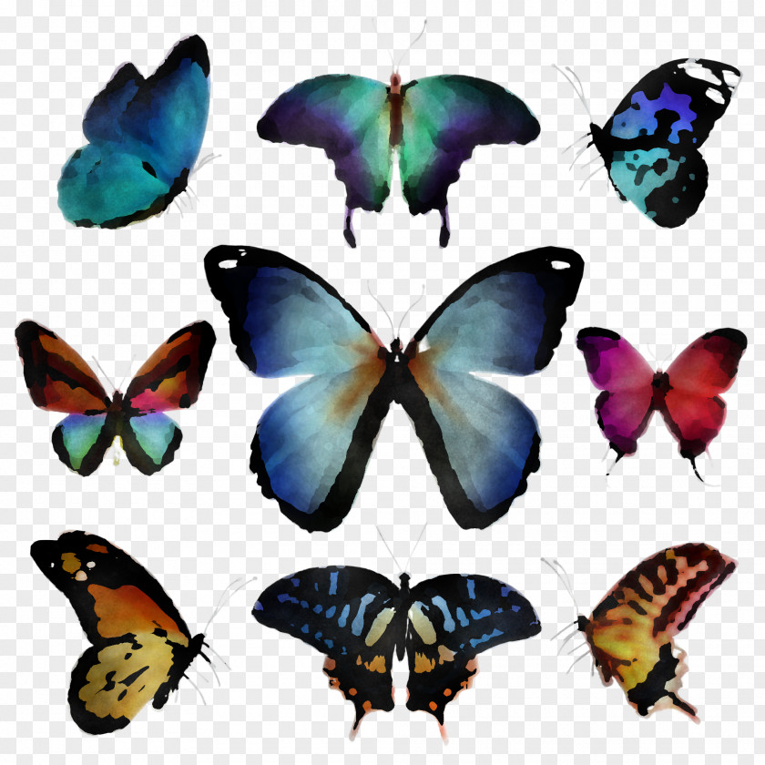Moths And Butterflies Butterfly Insect Pollinator Apatura PNG