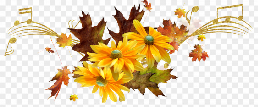 Autumn Chrysanthemum Yellow Painter PNG