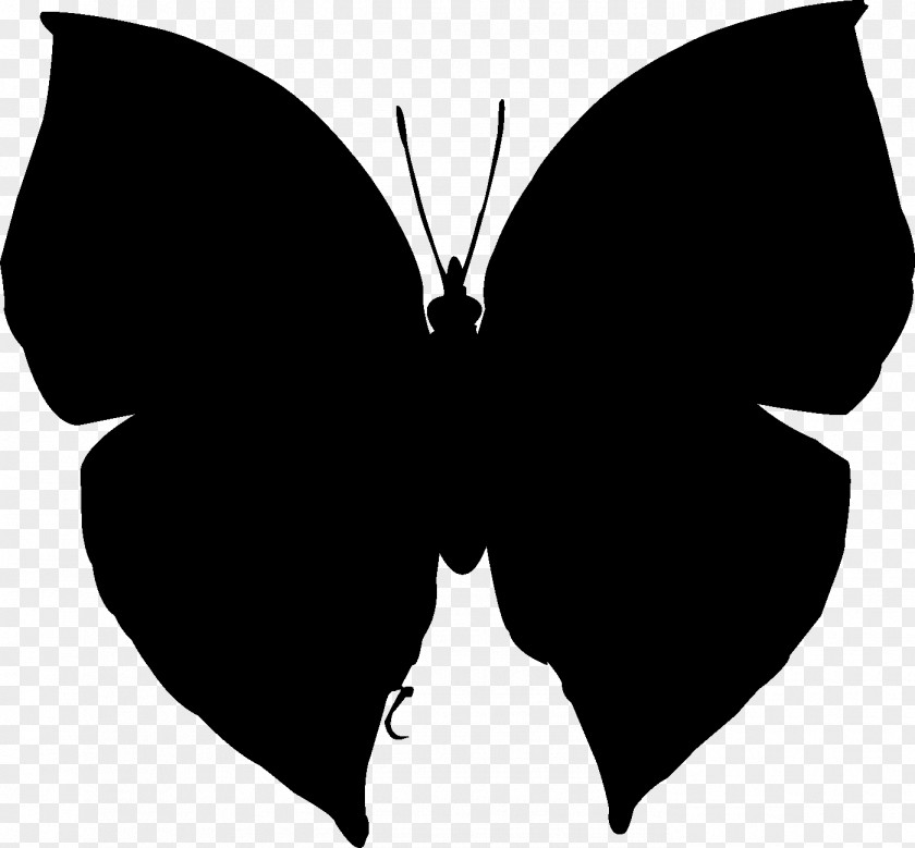 Brush-footed Butterflies Clip Art Silhouette Neck Black M PNG