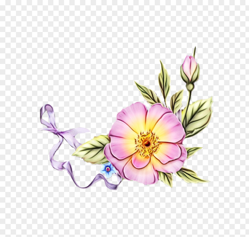 Clip Art Floral Design Illustration Image PNG