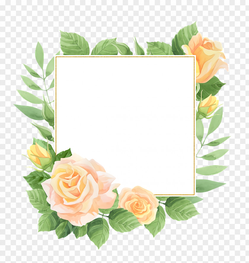 Floral Design PNG