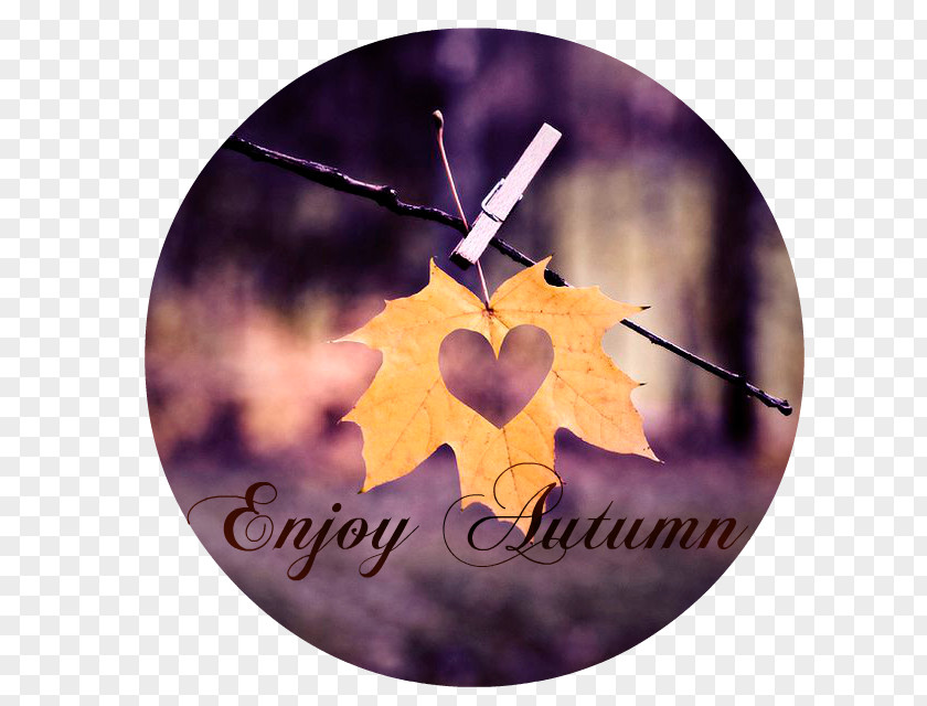 Golden Autumn Indulgence Leaf Color Heart Love PNG