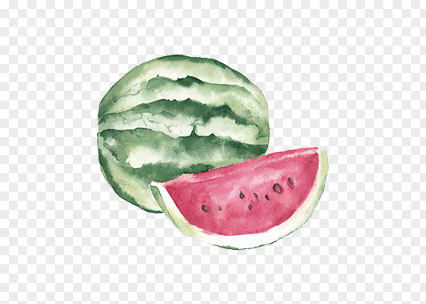 Hand Painted Watercolor Painting Fruit Watermelon Auglis Clip Art PNG