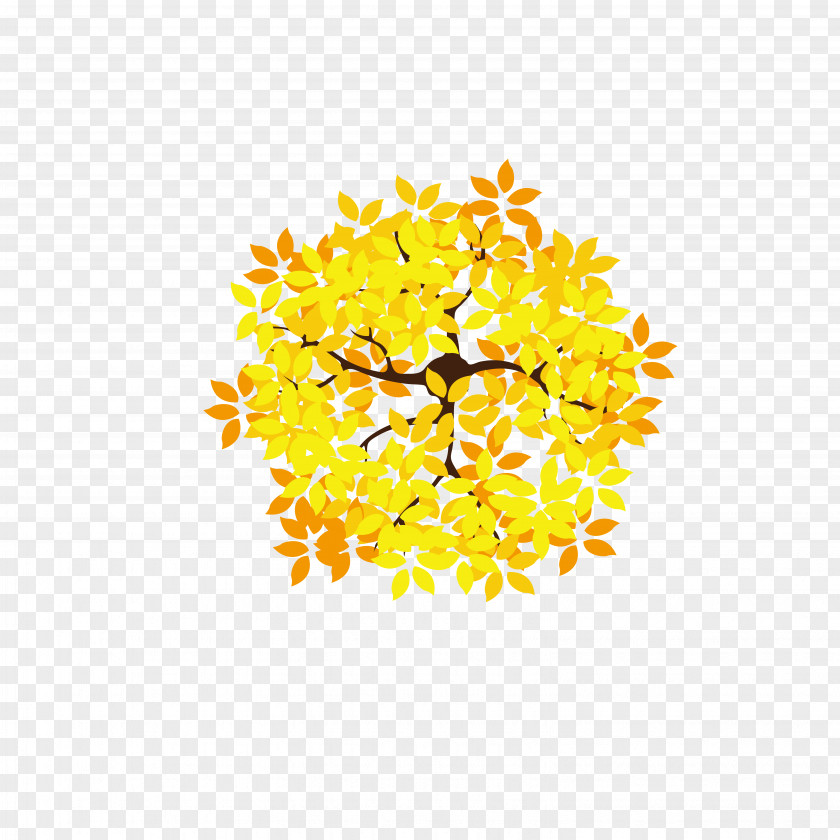 Overlooking The Golden Leaves Leaf Tree Euclidean Vector PNG