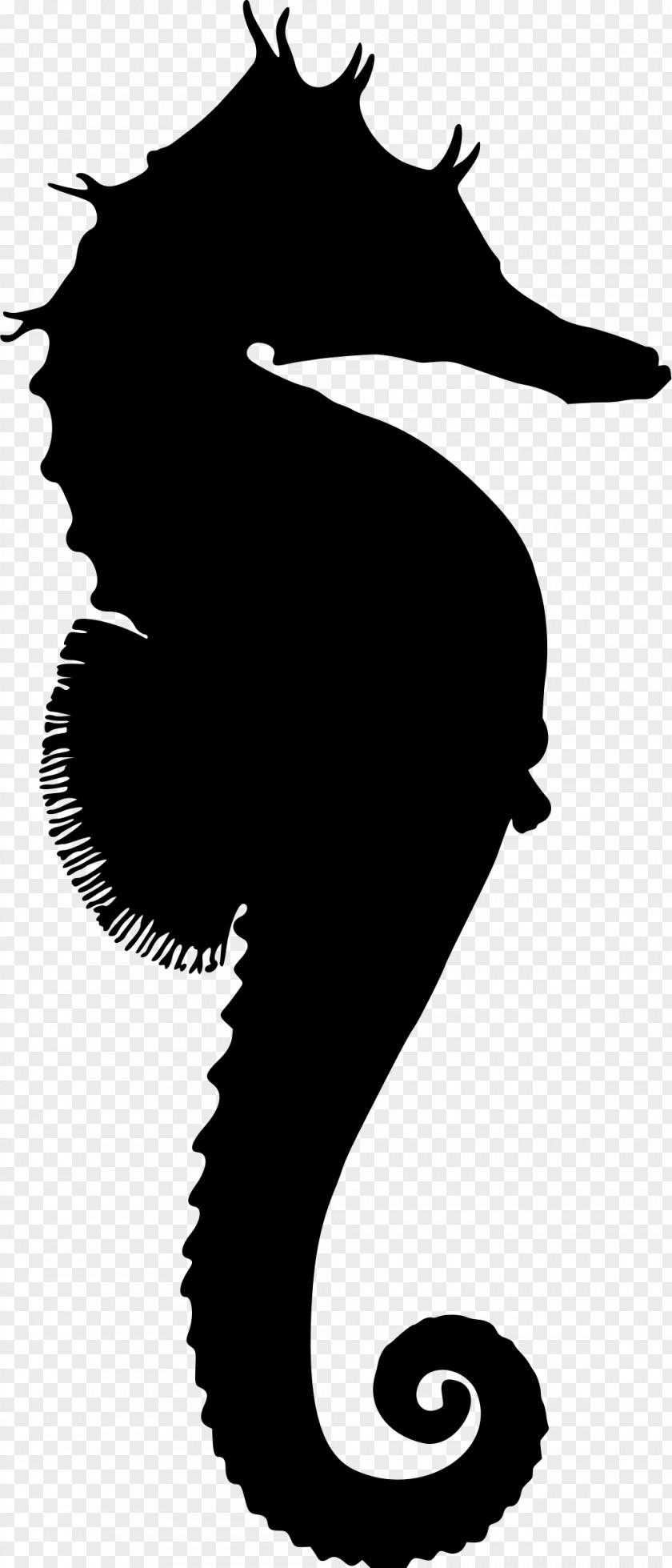 Seahorse Silhouette Great New Holland Clip Art PNG