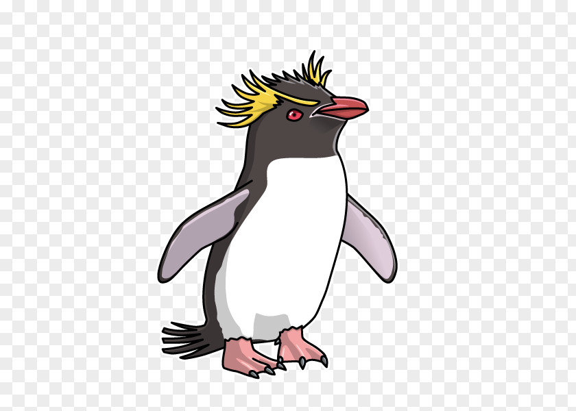 Southern Rockhopper Penguin King Emperor Antarctic PNG