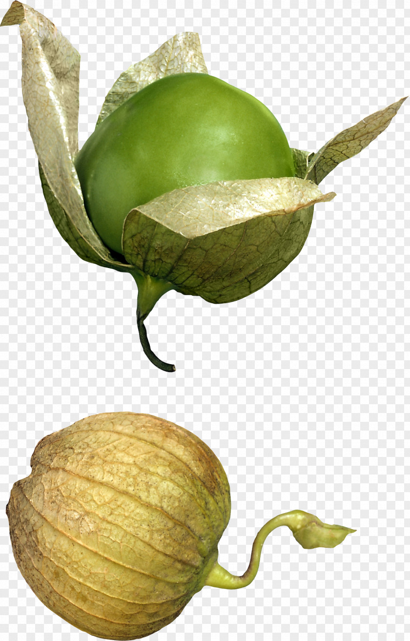 Vegetable Tomatillo Mexican Cuisine Food Fruit PNG