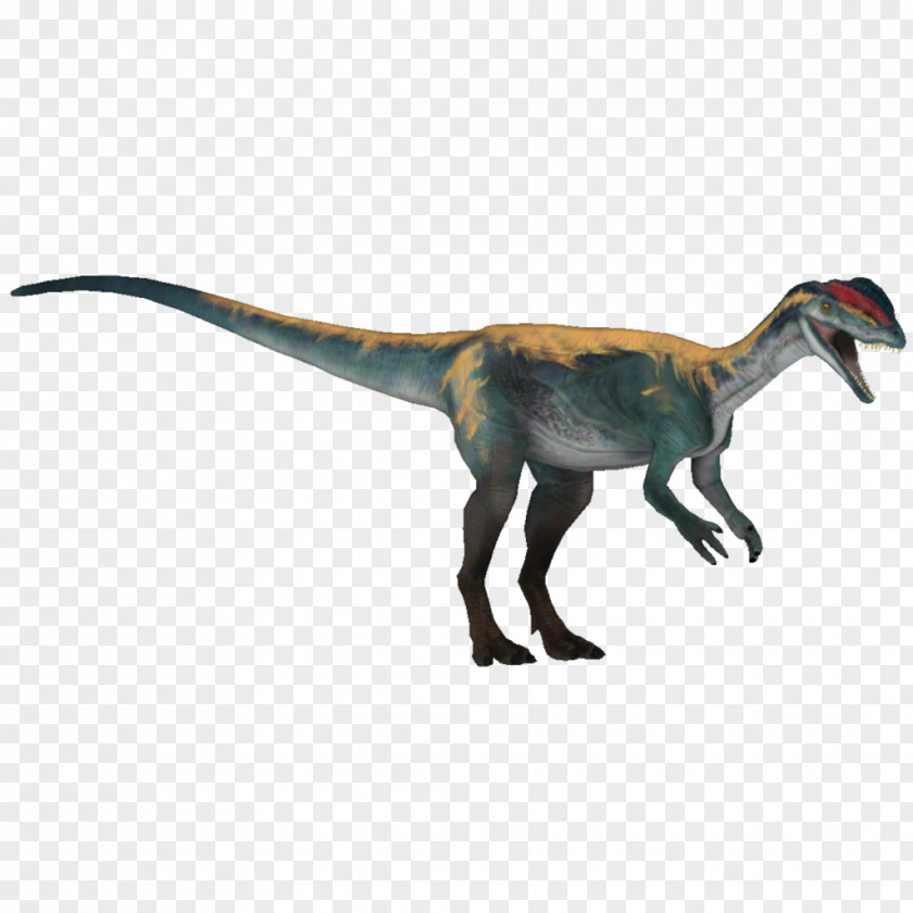 Carnage Velociraptor Dinosaur Feather Fauna Terrestrial Animal PNG