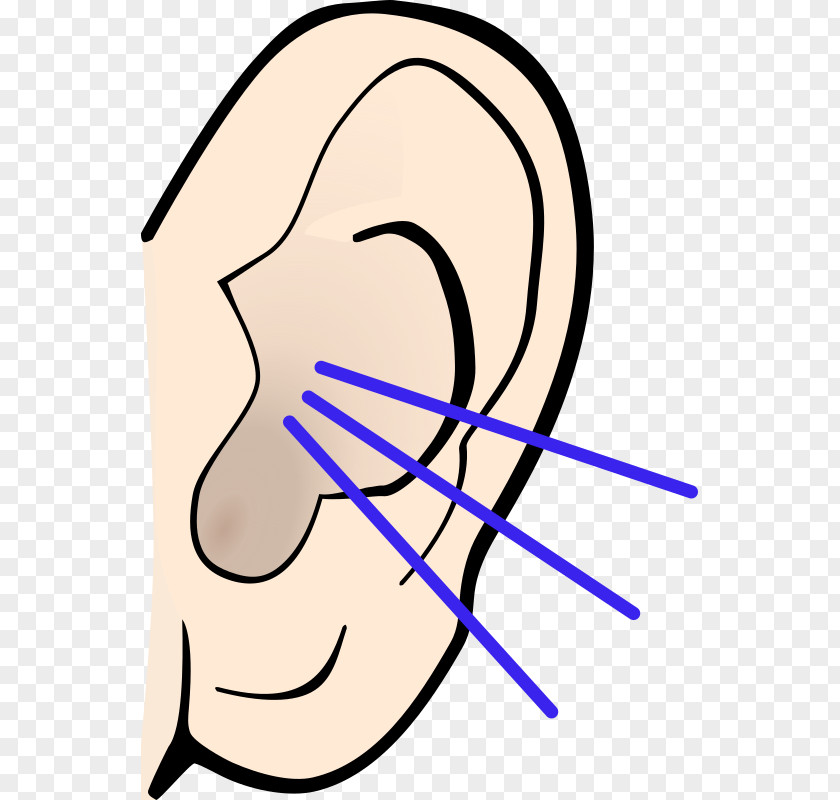 Ear Listening Clip Art PNG
