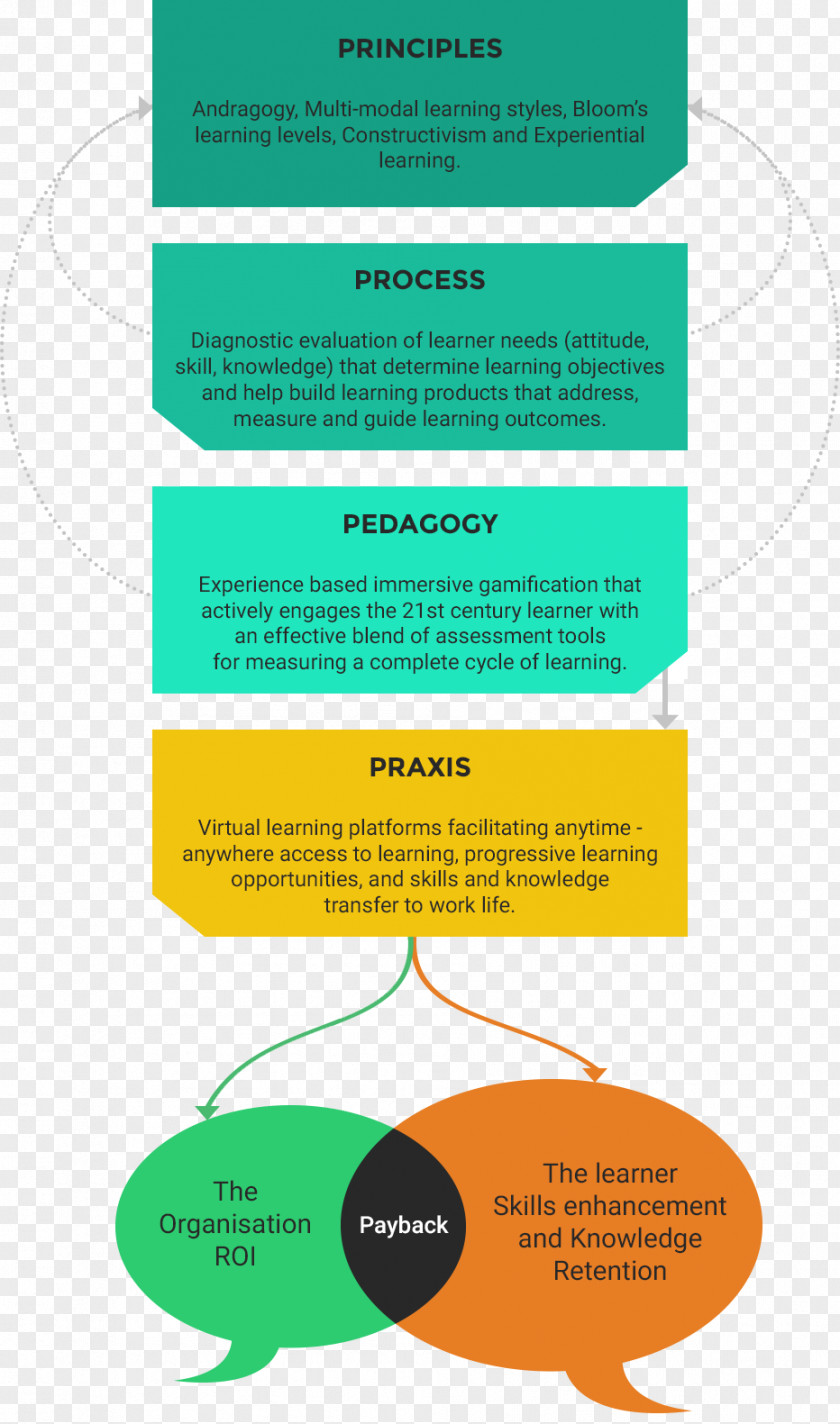 Education Info Graphics Template Clip Art Product Design Brand Organism Line PNG