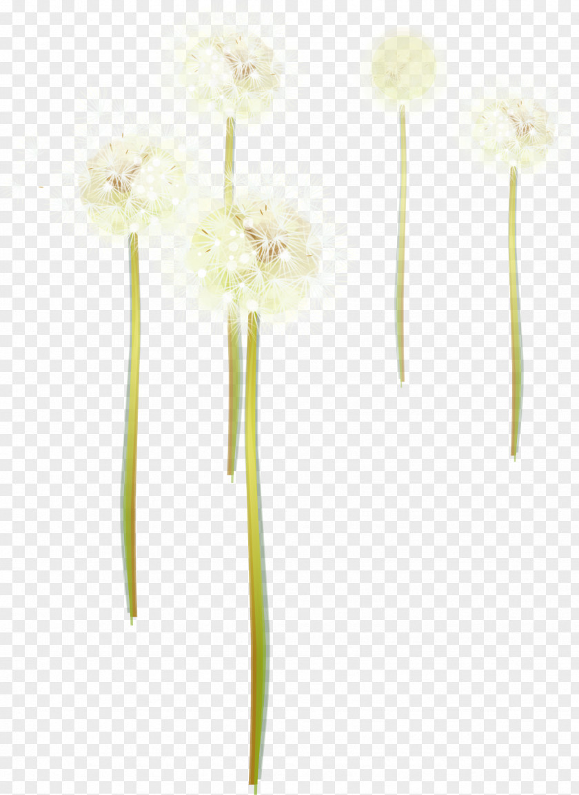 Hand Painted Watercolor Dandelion Floral Design Cut Flowers Petal PNG