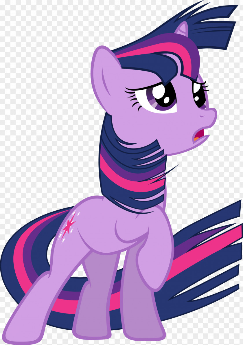 My Little Pony Twilight Sparkle Rainbow Dash Rarity Derpy Hooves PNG